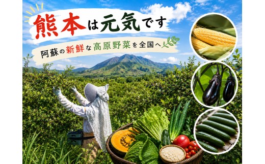 【定期便全3回】【阿蘇 郷乃舎】阿蘇高原 農家直送こだわり野菜 お野菜 6~8品 定期便全3回 野菜ソムリエ上級プロ厳選 郷乃舎 新鮮 お野菜 産地直送 詰め合わせ お取り寄せ 熊本県 阿蘇市