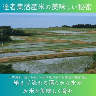 ふるさと納税 佐渡市 数量限定・生産地域限定【令和7年産】新潟県佐渡達者集落産コシヒカリ　精米(無洗米)5kg |  | 01