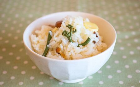 【令和7年産先行予約】5月上旬以降順次発送 旬の山菜 わらび 1kg【新潟県 糸魚川市 山菜 ワラビ 蕨 野菜 能生谷 おおかやば山菜園 期間限定】
