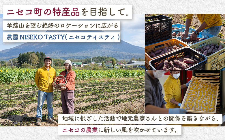 ニセコ町 べにはるか 平干し 100ｇ 5袋 | 小分け 紅はるか 北海道 健康 デザート おやつ 間食 ニセコ 甘さ 甘い 濃厚 やわらかい お茶うけ 風味 贅沢 おいしい 高品質 栄養価 豊富 食