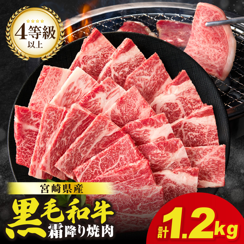 生産者応援≪肉質等級4等級以上≫宮崎県産黒毛和牛霜降り肩ロース(焼肉)計1.2kg_T030-1943【肉 牛 牛肉 おかず 国産 人気 ギフト 食品 すきやき しゃぶしゃぶ BBQ 贈り物 送料無料 プレゼント】