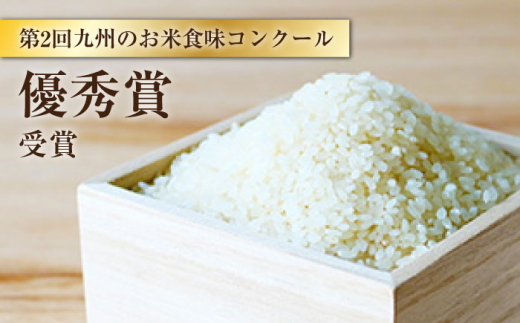 【 令和5年産 新米 ☆先行予約】【木村式自然栽培】 白米 くまみのり 約 10kg ＜ハマソウファーム＞ [CBR013]