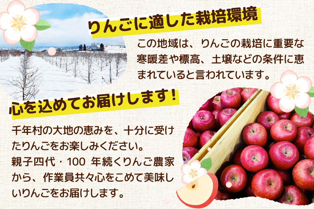 【26年12月発送】りんご 名月【贈答用】約3kg 先行受付 [先行予約 りんご 名月 3kg アップル おいしい お歳暮 お中元 ギフト プレゼント 果実 果物 贈り物 贈答用 美味 林檎 青森県 弘前市]