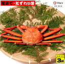 【ふるさと納税】先行予約 蟹屋の釜茹で紅ずわい蟹3杯セット（大）500～600g×3杯 冷蔵 境港産【24-040-007】【老舗「蟹専門店」株式会社マルツ】塩茹で ボイル済 かに カニ 蟹 紅ずわいがに 鍋 海鮮 海の幸 鳥取県産 鳥取県 米子市 期間限定【R6年10月～R7年3月発送】