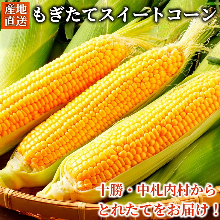 【ふるさと納税】《先行受付/期間限定 200セット》[北海道・十勝 美しい村] 早い者勝ち！！産地直送★太陽の恵みを限りなく浴びたもぎたてスイートコーン 10本 とうもろこし トウモロコシ コーン 野菜 冷蔵 国産 【2025年7月上旬-9月下旬 発送予定】 [015-0092]