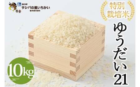 市貝町産 特別栽培米〈ゆうだい21〉10kg ｜ 国産 栃木県産米 お米 特別栽培米 精米 白米 栃木米 とちぎ米 ※離島への配送不可 ※2025年9月中旬頃より順次発送予定