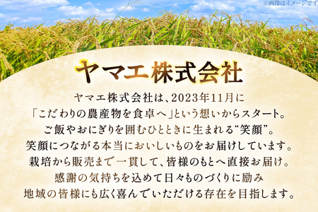 【数量限定】 米 定期便 3回 令和8年産 こしひかり 2kg 山梨県産 武川米 [ヤマエ株式会社 山梨県 韮崎市 20745398]