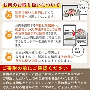 鹿児島県産 豚肉 霜降り トロ豚 赤身 スライス セット(合計2.5kg)【KNOT】 A562-v01