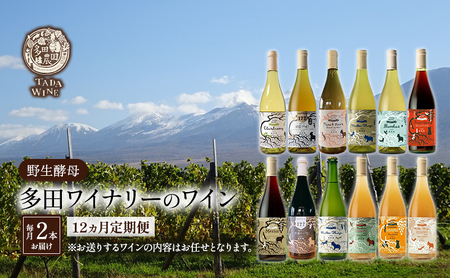 ワイン 多田ワイナリー 野生酵母 赤白泡オレンジ ワイン【月2本×12回】【12ヵ月定期便】