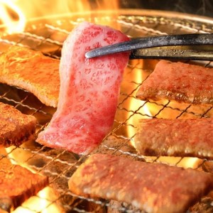 おおいた和牛カルビ・ロース焼肉セット【合計500g】【配送不可地域：離島】【1395594】