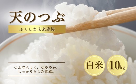 【白米】10kg 天のつぶ 令和7年産 | 精米コメ ごはん ブランド米 大粒 福島 福島県産 南相馬 ふくしま未来農協 JA ブランド米 お米 米