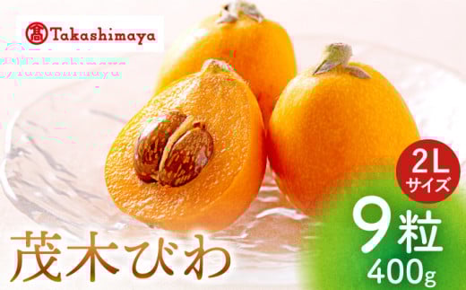 【先行予約】長崎県産びわ計400g 2L 9粒入びわ ビワ 枇杷 1キロ 長崎 季節もの フルーツ 果物 西海市/高島屋 [CFQ061]