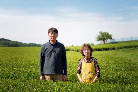 有機緑茶を飲み比べ!髙橋製茶の「みのりの茶」ギフトセット