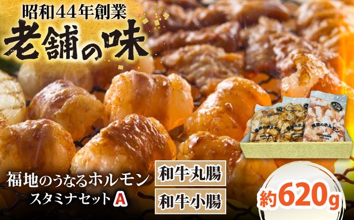 
                  スタミナセットA　（和牛丸腸・小腸）計620g 日田市 / 福地のうなるホルモン 和牛 ホルモン ほるもん マルチョウ まるちょう 焼肉 たれ BBQ[ARAY003]
                