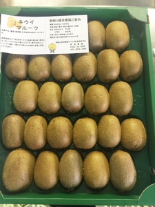 ★11月下旬～12月上旬発送★和歌山の太陽のめぐみたっぷり　キウイフルーツ(約３.５kg)