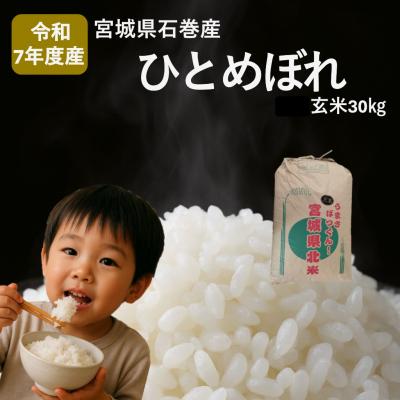 ふるさと納税 石巻市 米 ひとめぼれ 玄米 30kg 令和7年産 ヒトメボレ お米 ごはん ご飯