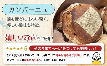 もっちり食感！【全12回定期便】江田島のパン屋のこだわりパン 詰め合わせ Bセット(計36個) カフェ 朝食 おやつ 間食 お取り寄せグルメ ギフト 食品 江田島市/しまのぱん souda！[XAQ0