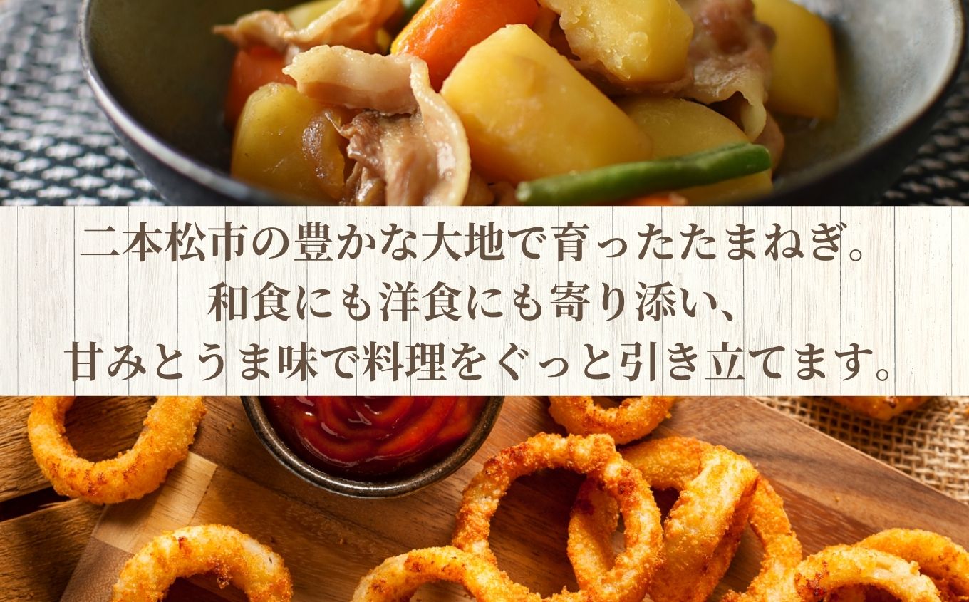《2025年7月以降順次発送》たまねぎ5kg【一般社団法人二本松有機農業研究会】