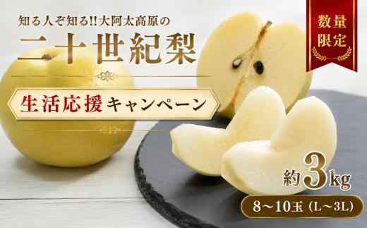 AC1 【生活応援キャンペーン】二十世紀梨 約3kg L ～ 3L （ 8玉 ～ 10玉 ）| 果物 くだもの フルーツ 梨 なし ジューシー 完熟 期間限定 産地直送 大淀町 大阿太高原 奈良