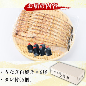 国産！うなぎ白焼き(6尾・タレ付き) 国産 九州産 鰻 ウナギ 無頭 魚 魚介類 かばやき 蒲焼 蒲焼き しろやき 白焼 おかず 特産品 お土産 ギフト プレゼント 冷蔵 【尾方屋】_y510