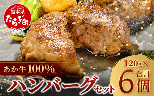 【通常発送】あか牛 100％ハンバーグ セット 120g×6個  【 ハンバーグ あか牛 牛肉 肉 熊本産 国産牛 和牛 旨味 うま味 ぎっしり 熊本県 多良木町 牛肉 】046-0638