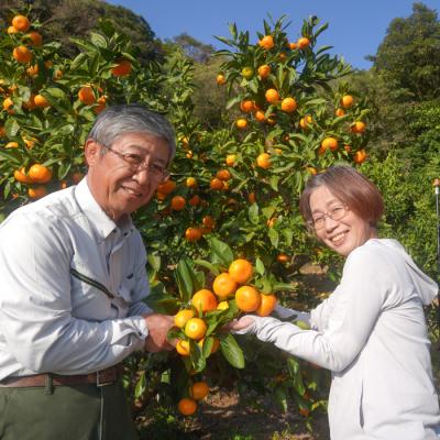 ふるさと納税 淡路市 片山農園の温州みかん3.0kgとキウイ2.0kg【サイズ色々S〜2Lサイズ】　ak03801 |  | 02