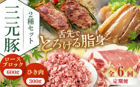 【全6回定期便】 三元豚 ロースブロック600g・ひき肉300g 《喜茂別町》【平田牧場】 肉 豚肉 ブロック ステーキ ステーキ用 ロース ロースステーキ とんかつ ミンチ 豚ミンチ 角煮[AJAP044]