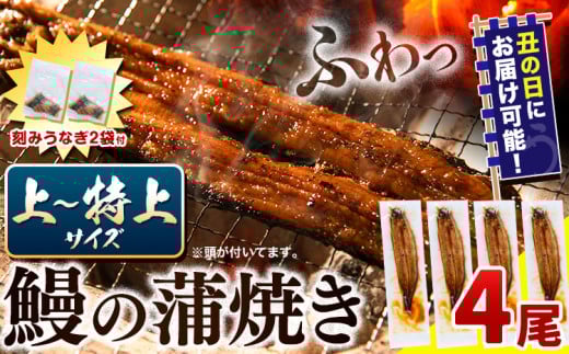 【 土用の丑の日予約受付中！ 】うなぎ 国産 鰻の蒲焼 4尾 + きざみうなぎ 30g×2袋 上～特上サイズ《7月上旬-7月中旬頃出荷》| うなぎ 蒲焼 国産 うなぎ 小分け うなぎ 国産 うなぎ 父の日 うなぎ 母の日ギフト うなぎ 簡易包装 送料無料 徳島県 上板町