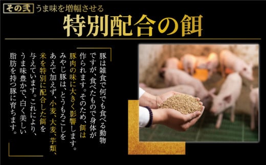 しその香り漂う肉汁たっぷり しそ餃子 20個 冷凍餃子 みやじ豚 ブランド豚 100% 餃子 ぎょうざ ギョウザ ギョーザ ぎょーざ 焼き餃子 豚肉 おつまみ gyouza 水餃子 中華料理 国産 中