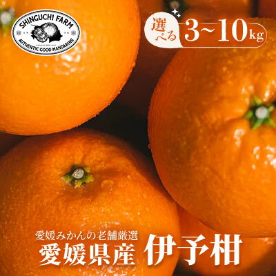 【ふるさと納税】【創業108年】愛媛みかんの老舗【伊予柑】 3kg / 5kg / 10kg_ みかん ミカン 蜜柑 伊予柑 いよかん 果物 くだもの フルーツ デザート おいしい ジューシー かんきつ 柑橘 柑橘類 国産 愛媛 えひめ 愛媛県 八幡浜市 家庭用 【G1615841】