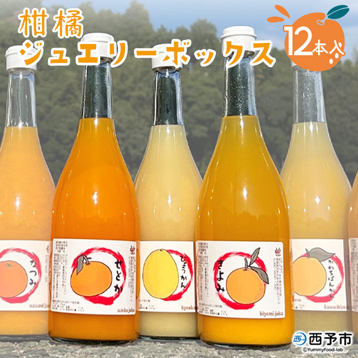 ＜一歩会 ジュエリーボックス ジュース飲み比べセット 720ml×12本入り（果汁100%ストレートジュース）＞ 愛媛 みかん ミカン 柑橘 果物 フルーツ 特産品 渡江から一歩を踏み出す会 愛媛県 西予市