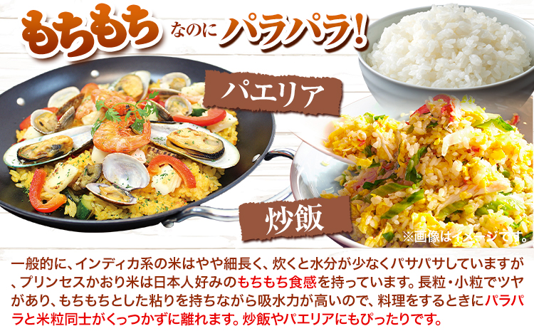 カレー専用米 プリンセスかおり 5kg 有限会社 田中農場《90日以内に出荷予定(土日祝除く)》鳥取県 八頭町 米 お米 ご飯 カレー 送料無料
