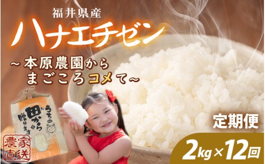 【先行予約】【令和8年産・新米】定期便 12ヶ月連続お届け ハナエチゼン 2kg (1袋) × 12回 計24kg 【白米】 ～本原農園からまごころコメて～ 【2026年9月上旬以降順次発送予定】【お