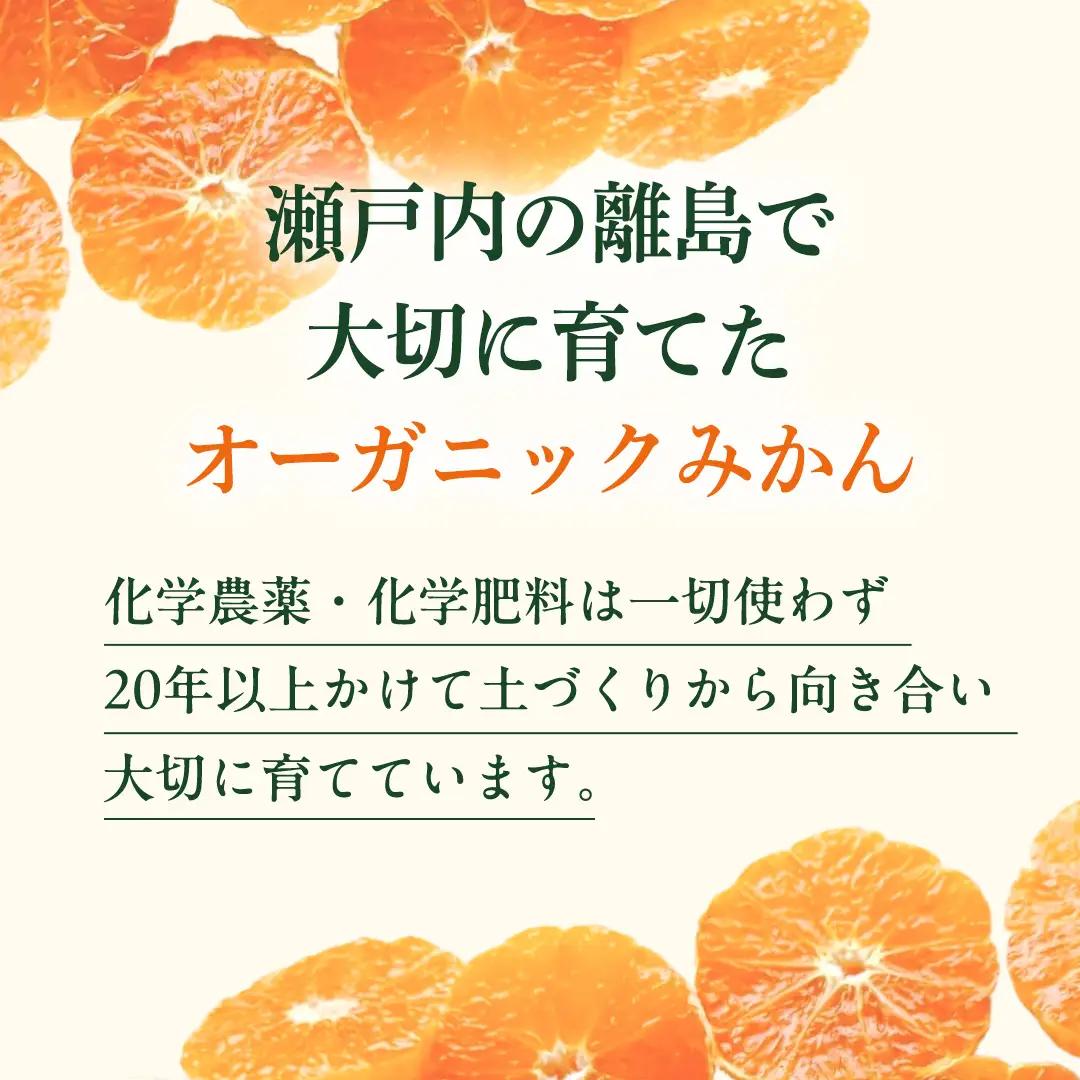 オーガニック 瀬戸内みかん 約10kg (70～130個程度) 【2026年10月中旬～1月発送】 国産 有機JAS認証