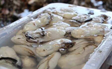 牡蠣 むき身 1kg ( 500g×2袋 ) 中サイズ 加熱用 【 かき カキ 剥き身 冷蔵 広田第十八玉丸 】 2024年11月上旬頃から順次発送