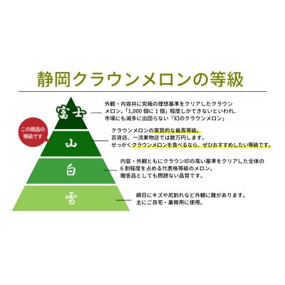 【厳選】高級クラウンマスクメロン山級　1.4kg以上×2玉入り【配送不可地域：離島・北海道・沖縄県・四国・九州】