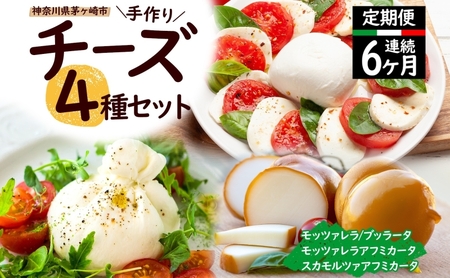 チーズ詰合せ モッツァレラ ブラッター スカモルツァ 4種 チーズ詰合せ【4種 各1個】【定期便 6ヵ月】