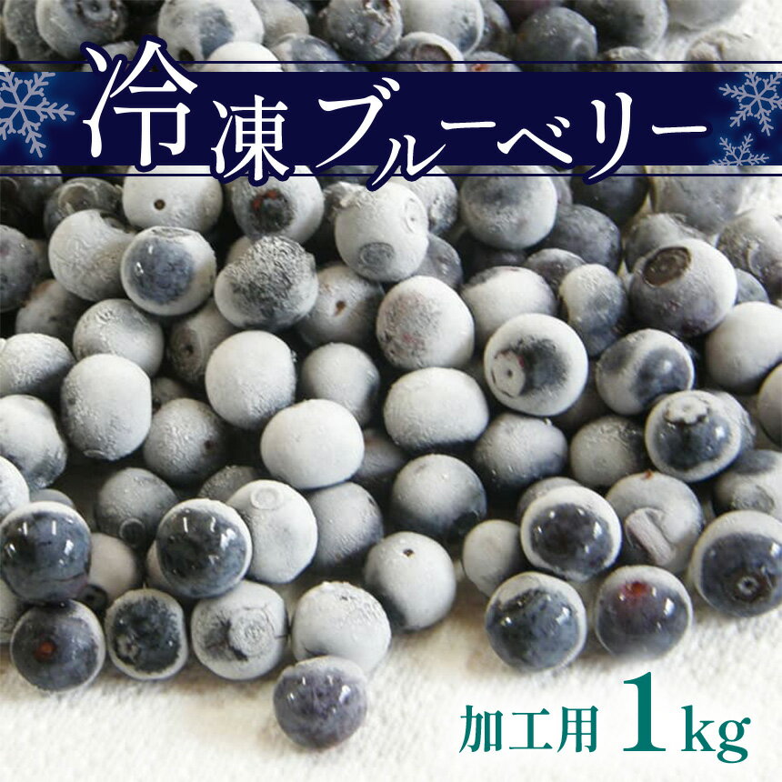 【ふるさと納税】冷凍ブルーベリー(加工用) ｜ 果物 くだもの フルーツ ブルーベリー 冷凍 加工用 1kg 山口 美祢市 美祢 特産品 スムージー ジャム