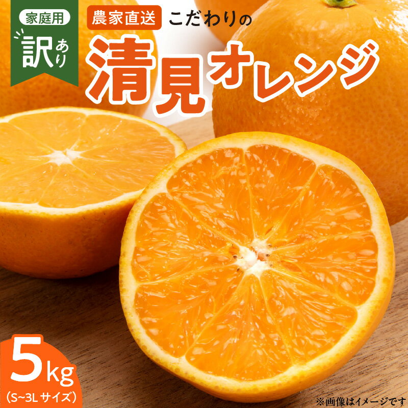 【ふるさと納税】【限定】【2026年先行予約】 こだわりの 清見 オレンジ 【訳あり 家庭用】 5kg 藤秀園 【ミカン 蜜柑 柑橘 温州みかん 和歌山 有田】【清見 みかん オレンジ タンゴール きよみ 柑橘 和歌山】