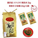 【ふるさと納税】12ヶ月定期便 令和6年産 湯沢産コシヒカリ 無洗米 2kg＋食べる味噌 青唐辛子味噌 100g×2袋のセット 魚沼最上流域 魚沼産コシヒカリ 南魚沼産 こしひかり 12回定期便 毎月発送