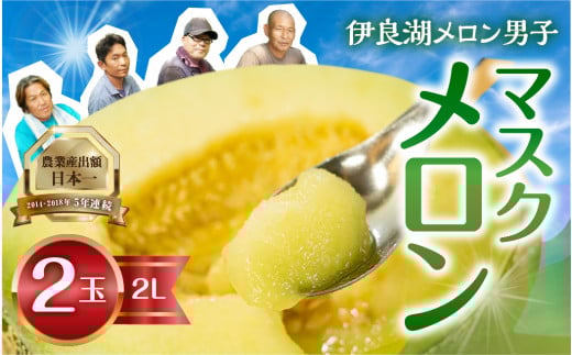 【6月下旬から7月お届け】 伊良湖産 マスクメロン 2玉 2Lサイズ 箱詰め メロン フルーツ 果物 お取り寄せ 渥美半島 田原市 産地直送