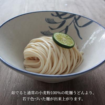 ふるさと納税 坂出市 [乾麺 うどん] 讃岐玄米うどん 20袋(小麦粉と玄米全粒粉を使った乾麺うどん) |  | 03