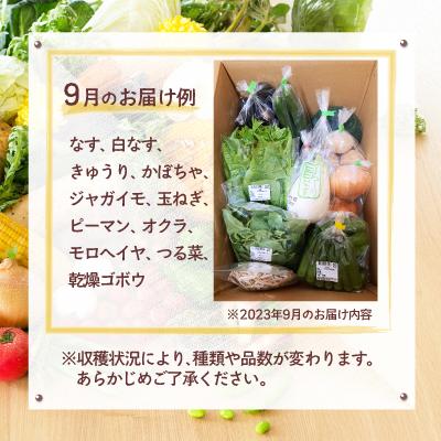 ふるさと納税 大館市 旬の野菜宅配便 |  | 01