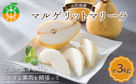 《先行予約》山形県産 マルゲリットマリーラ約3kg（6～9個）洋梨 西洋梨 洋ナシ 洋なし 秋果実 果物 くだもの フルーツ F4A-1025