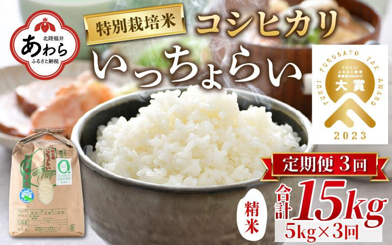 
【令和5年産】《定期便3回》特別栽培米 いっちょらい 精米 5kg（計15kg）／ 福井県産 ブランド米 コシヒカリ ご飯 白米 新鮮 大賞 受賞
