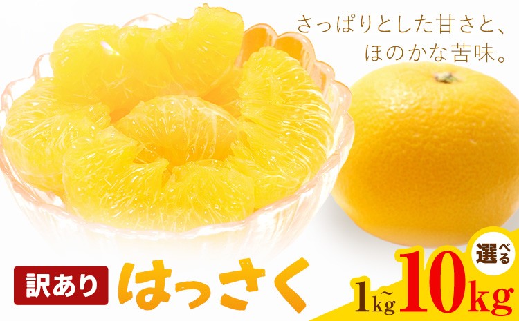 
                  はっさく 訳あり 選べる内容量 1kg 2kg 3kg 4kg 5kg 6kg 7kg 8kg 9kg 10kg 株式会社農業福祉研究機構《2027年1月上旬-2月下旬頃出荷》和歌山県 紀の川市 送料無料 フルーツ 果物 八朔 柑橘 ハッサク 旬 旬のフルーツ お取り寄せフルーツ ご家庭用
                