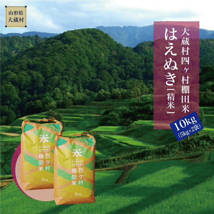 【ふるさと納税】大蔵村四ヶ村棚田米　はえぬき（精米）10kg（5kg×2袋）
