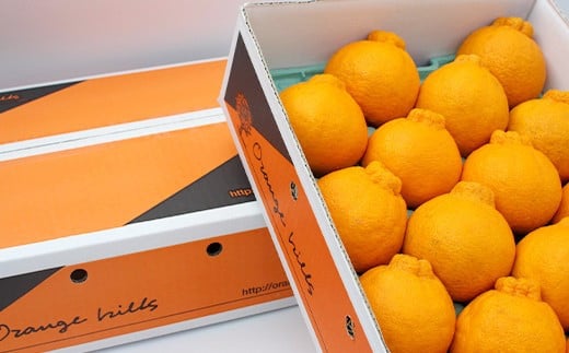 五代目デコ 5kg (18玉〜20玉) 不知火 果物 くだもの フルーツ【2026年2月下旬-6月下旬発送】