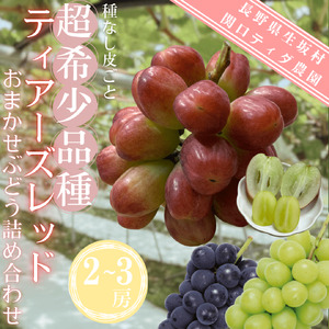 ティアーズレッド　おまかせぶどう詰め合わせ（2から3房）|ぶどう