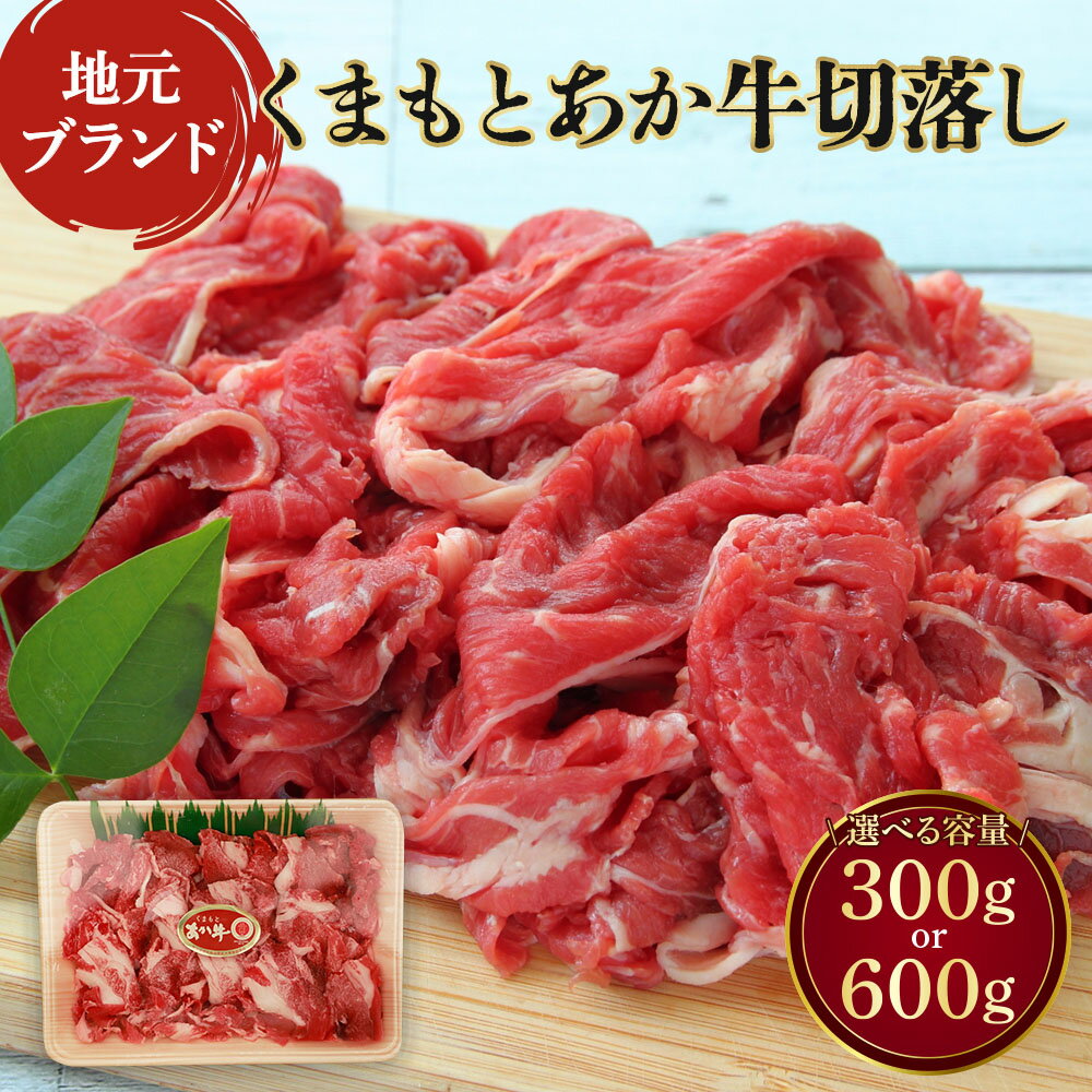 【ふるさと納税】牛肉 切り落とし 選べる容量 300g もしくは 600g (300g×2パック)